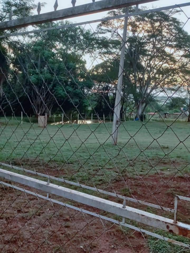Barretos/SP