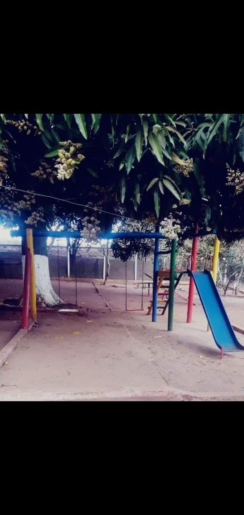 Barretos/SP